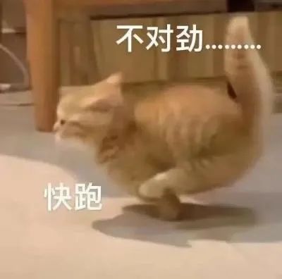 字母圈“包裹我、压住我~” 字母圈“包裹我、压住我~”