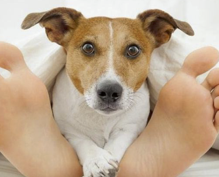 字母圈不要找爱放响屁的S(*_* ) 字母圈不要找爱放响屁的S(*_* )