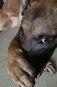 字母圈不要找爱放响屁的S(*_* ) 字母圈不要找爱放响屁的S(*_* )