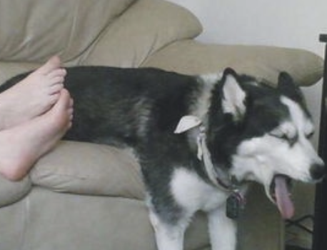 字母圈不要找爱放响屁的S(*_* ) 字母圈不要找爱放响屁的S(*_* )