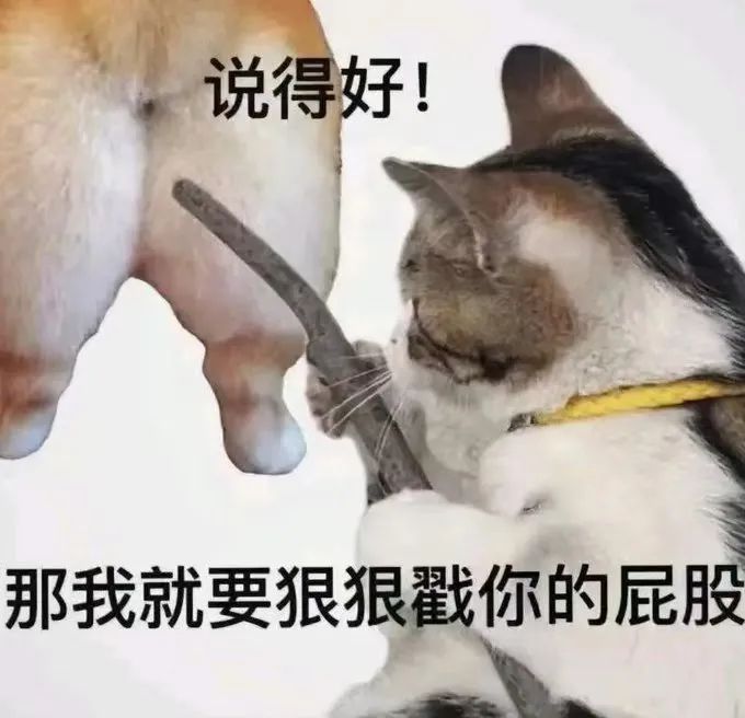 字母圈“主人没有给我戴上锁链,却将我牵得更紧” 字母圈“主人没有给我戴上锁链,却将我牵得更紧”