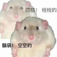 字母圈S/dom也会需要安全词?没错是的! 字母圈S/dom也会需要安全词?没错是的!