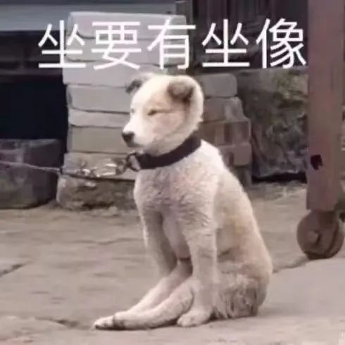 字母圈S/dom也会需要安全词?没错是的! 字母圈S/dom也会需要安全词?没错是的!