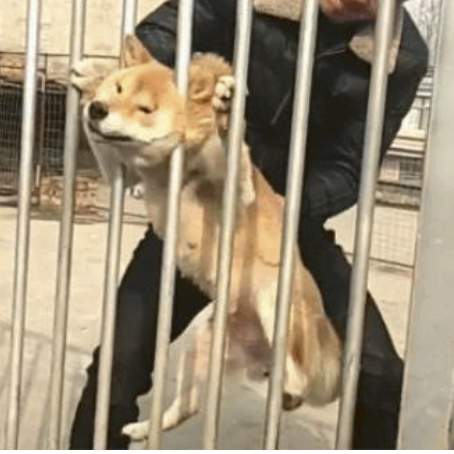 字母圈最“BT”的S,都在惩罚M“练瑜伽” 字母圈最“BT”的S,都在惩罚M“练瑜伽”