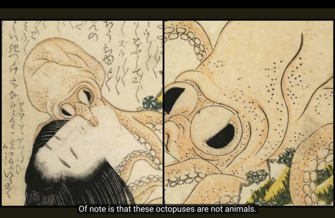 字母圈触手怪XP,是如何越来越瑟的? 字母圈触手怪XP,是如何越来越瑟的?