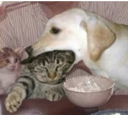 字母圈M自评表,会让体验更好or更糟? 字母圈M自评表,会让体验更好or更糟?