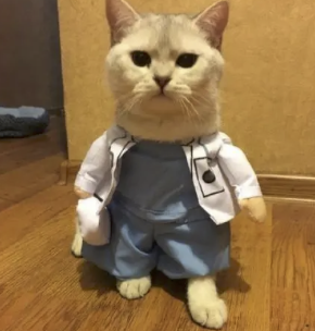 字母圈志愿报什么专业,能在play时“鲨疯了”? 字母圈志愿报什么专业,能在play时“鲨疯了”?