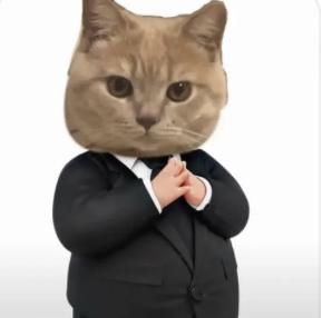 字母圈志愿报什么专业,能在play时“鲨疯了”? 字母圈志愿报什么专业,能在play时“鲨疯了”?