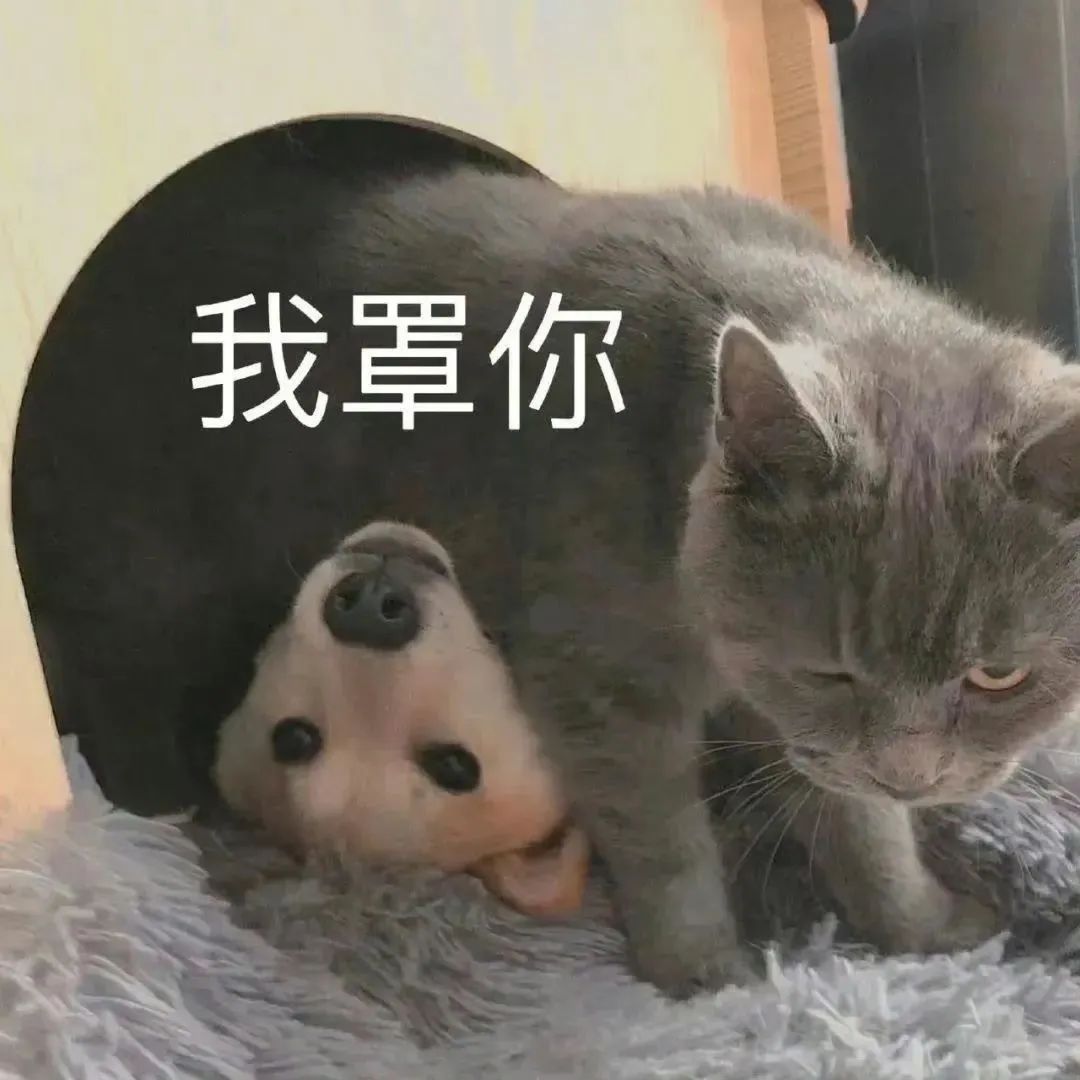 字母圈“包裹我、压住我~” 字母圈“包裹我、压住我~”