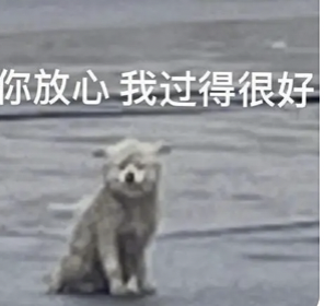 字母圈不想do的女生,是“阴萎”了吗?|豆瓣9.4的成人性教育动画 字母圈不想do的女生,是“阴萎”了吗?|豆瓣9.4的成人性教育动画