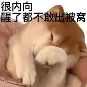 字母圈我的涩涩欲望被“焦虑”拿捏了 字母圈我的涩涩欲望被“焦虑”拿捏了