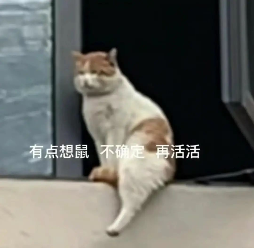 字母圈我的涩涩欲望被“焦虑”拿捏了 字母圈我的涩涩欲望被“焦虑”拿捏了