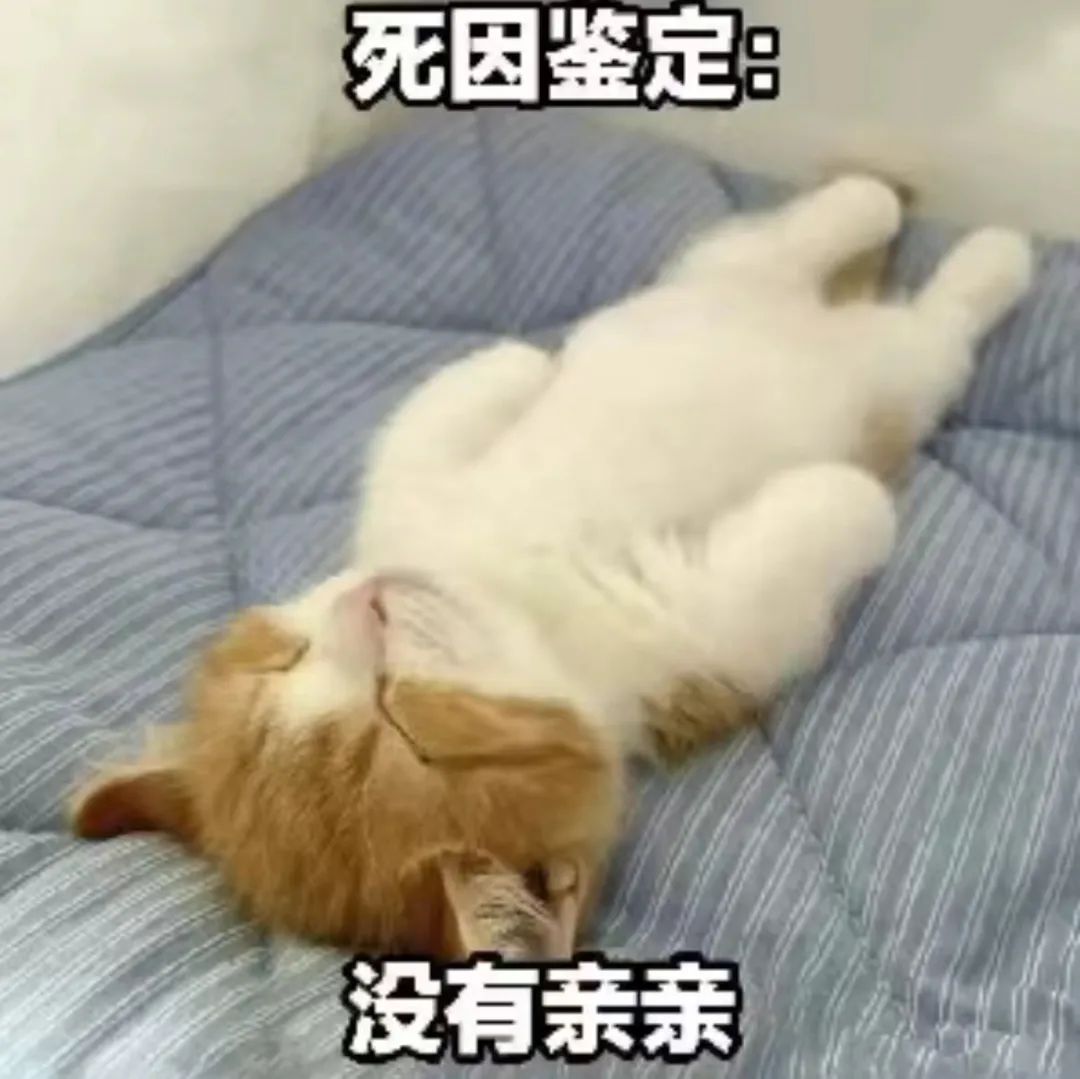 字母圈我的涩涩欲望被“焦虑”拿捏了 字母圈我的涩涩欲望被“焦虑”拿捏了