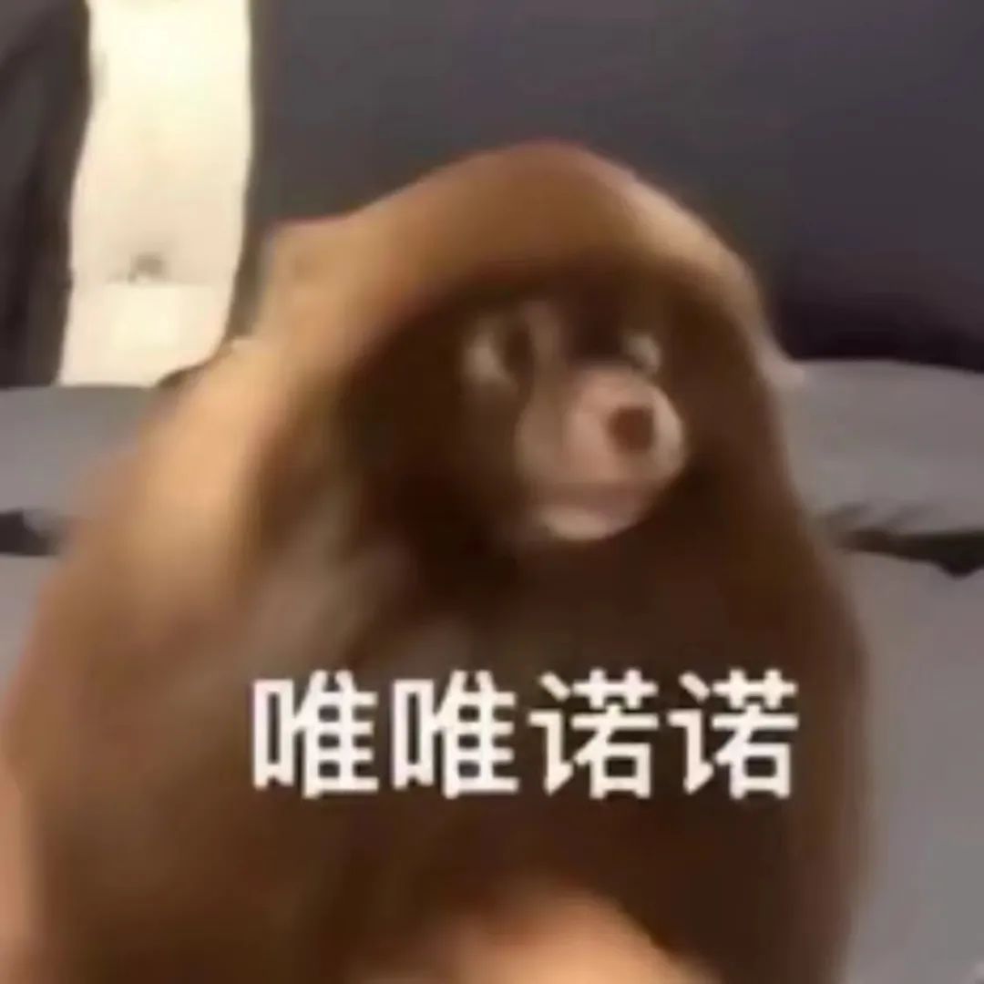 字母圈S/dom也会需要安全词?没错是的! 字母圈S/dom也会需要安全词?没错是的!