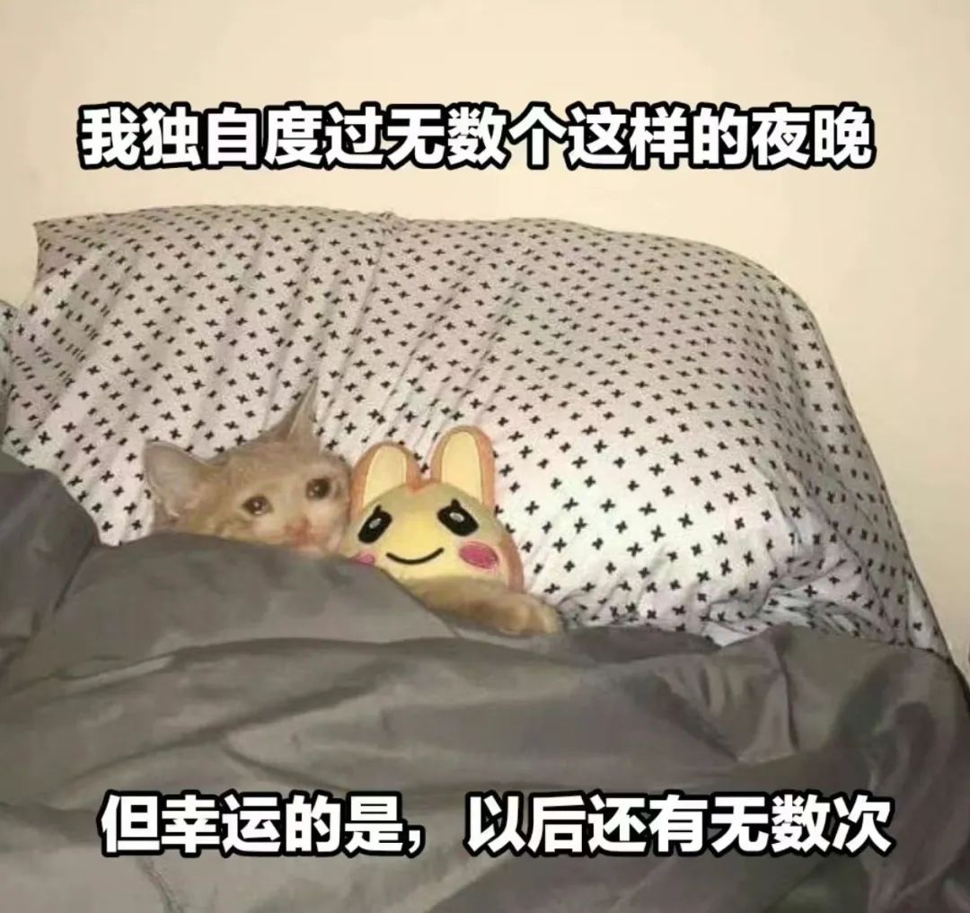 字母圈“我的xp竟是…我自己?!” 字母圈“我的xp竟是…我自己?!”