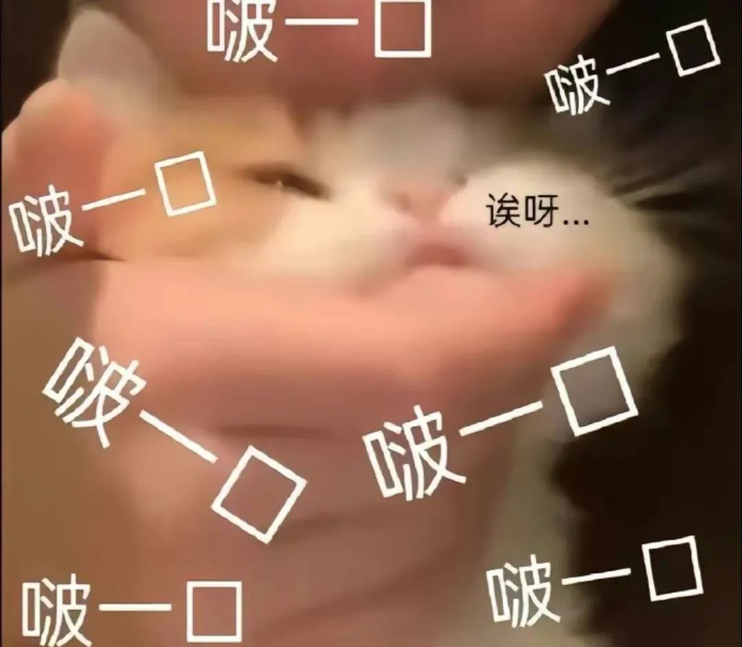 字母圈“我的xp竟是…我自己?!” 字母圈“我的xp竟是…我自己?!”