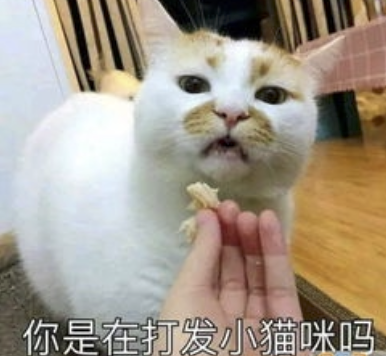 字母圈M自评表,会让体验更好or更糟? 字母圈M自评表,会让体验更好or更糟?