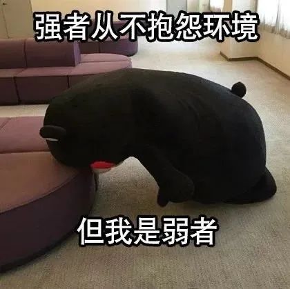 字母圈为何“关系越有害,有人却越爱”? 字母圈为何“关系越有害,有人却越爱”?