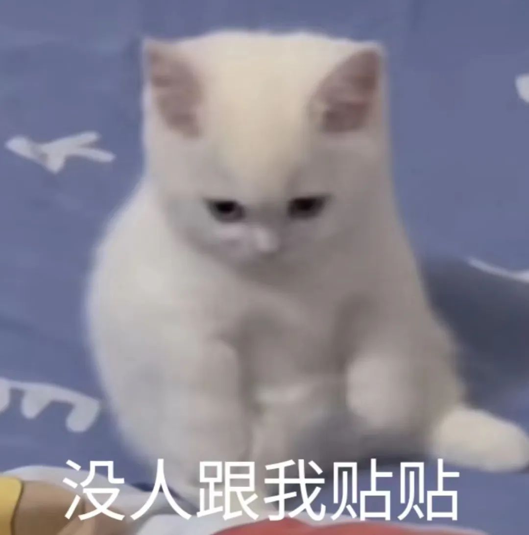 字母圈“包裹我、压住我~” 字母圈“包裹我、压住我~”