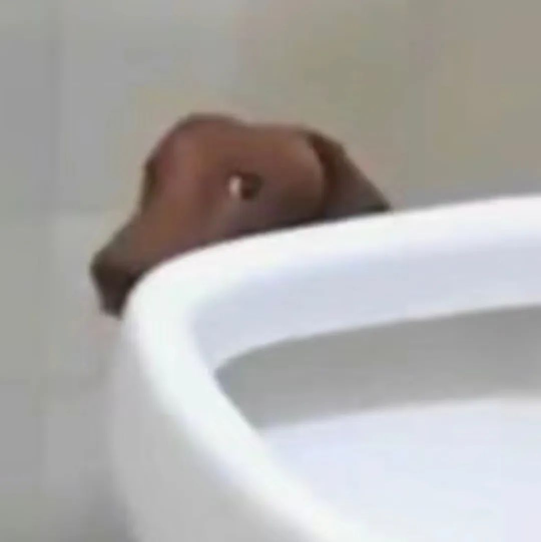 字母圈“主人没有给我戴上锁链,却将我牵得更紧” 字母圈“主人没有给我戴上锁链,却将我牵得更紧”