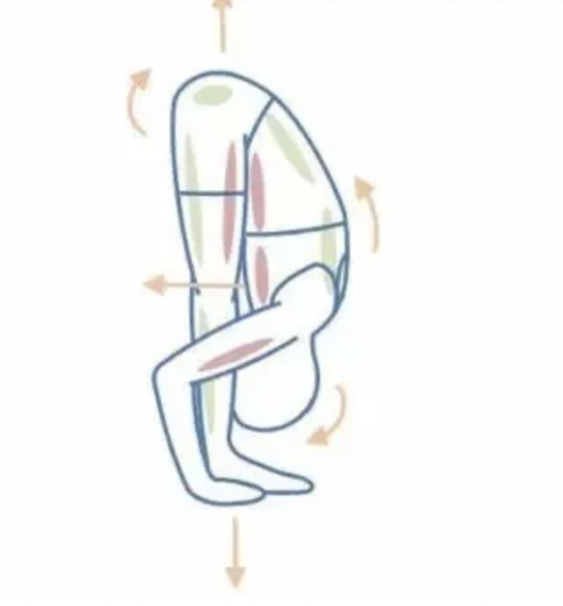 字母圈最“BT”的S,都在惩罚M“练瑜伽” 字母圈最“BT”的S,都在惩罚M“练瑜伽”