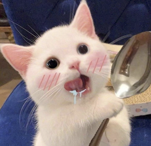 字母圈M自评表,会让体验更好or更糟? 字母圈M自评表,会让体验更好or更糟?