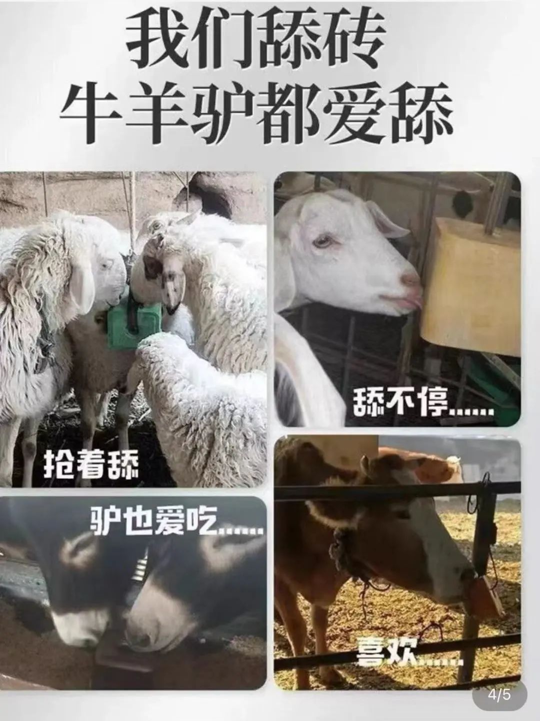 字母圈玩腻了宠物play,“畜牧农场”play考虑一下? 字母圈玩腻了宠物play,“畜牧农场”play考虑一下?