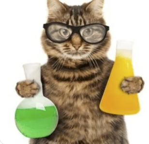 字母圈志愿报什么专业,能在play时“鲨疯了”? 字母圈志愿报什么专业,能在play时“鲨疯了”?