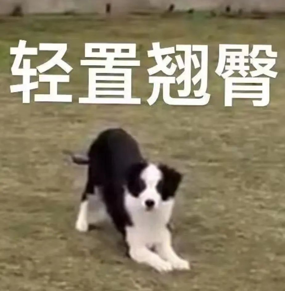 字母圈聊聊BDSM和“童年创伤” 字母圈聊聊BDSM和“童年创伤”