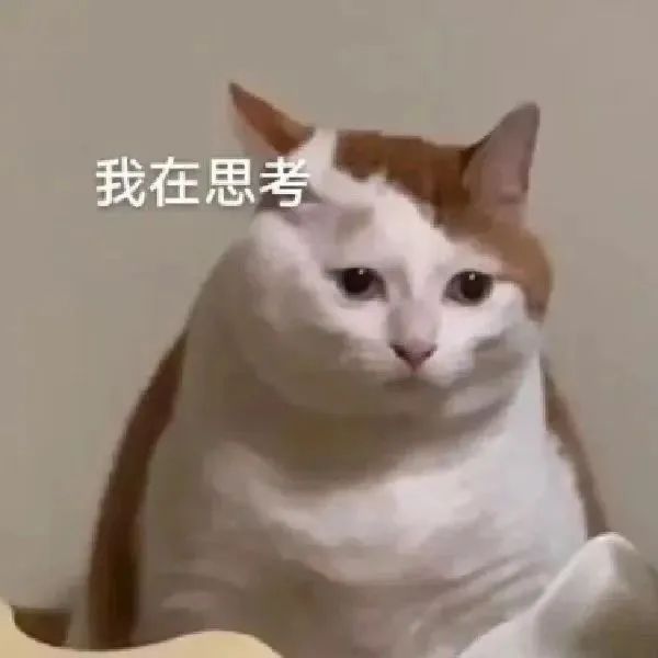 字母圈S/dom也会需要安全词?没错是的! 字母圈S/dom也会需要安全词?没错是的!