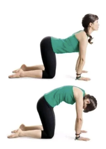 字母圈最“BT”的S,都在惩罚M“练瑜伽” 字母圈最“BT”的S,都在惩罚M“练瑜伽”