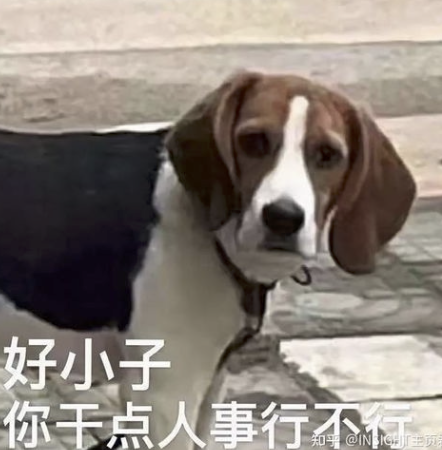 字母圈最“BT”的S,都在惩罚M“练瑜伽” 字母圈最“BT”的S,都在惩罚M“练瑜伽”