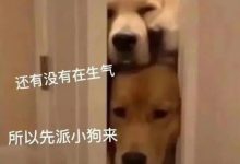 字母圈sub必看“dom不靠谱”的3条早识别信号-瘾欢