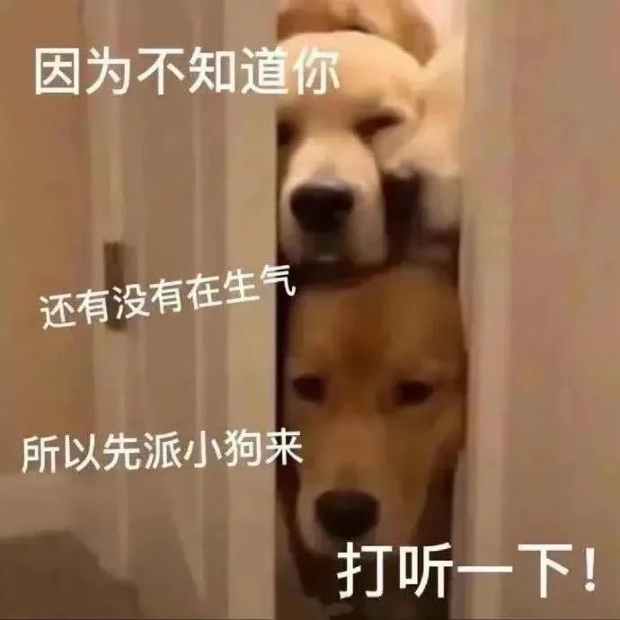 字母圈【sub必看】“dom不靠谱”的3条早识别信号 字母圈【sub必看】“dom不靠谱”的3条早识别信号