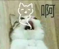 字母圈我们玩bdsm时,身体里在发生什么?O_0 字母圈我们玩bdsm时,身体里在发生什么?O_0