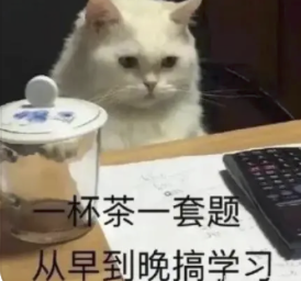 字母圈志愿报什么专业,能在play时“鲨疯了”? 字母圈志愿报什么专业,能在play时“鲨疯了”?