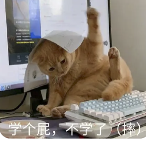 字母圈志愿报什么专业,能在play时“鲨疯了”? 字母圈志愿报什么专业,能在play时“鲨疯了”?