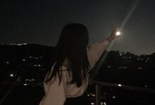 专业字母圈k9调教指南-瘾欢