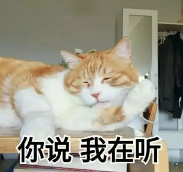 字母圈【BDSM大型沟通攻略】“不聊透这些,今晚别上床” 字母圈【BDSM大型沟通攻略】“不聊透这些,今晚别上床”