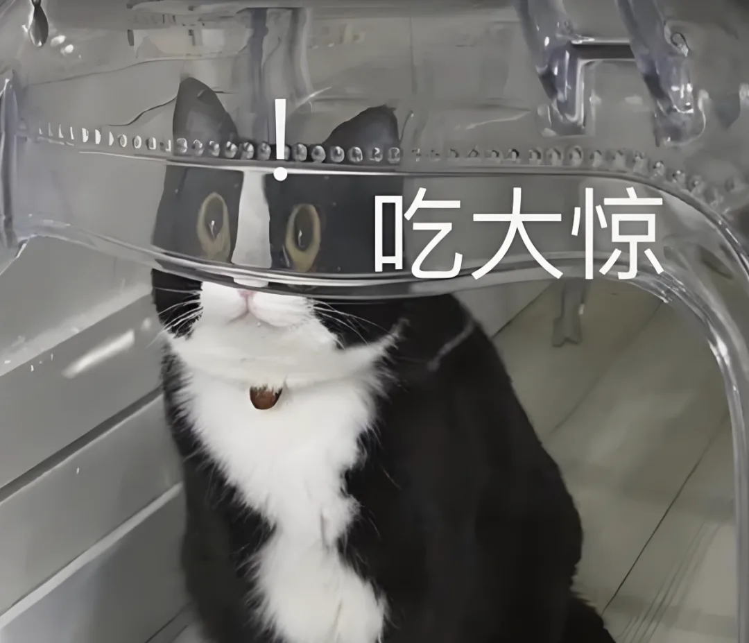 字母圈“•̥́ ˍ •̀)都怪这本bdsm小说,让我在地铁上哭的像个变态 ” 字母圈“•̥́ ˍ •̀)都怪这本bdsm小说,让我在地铁上哭的像个变态 ”