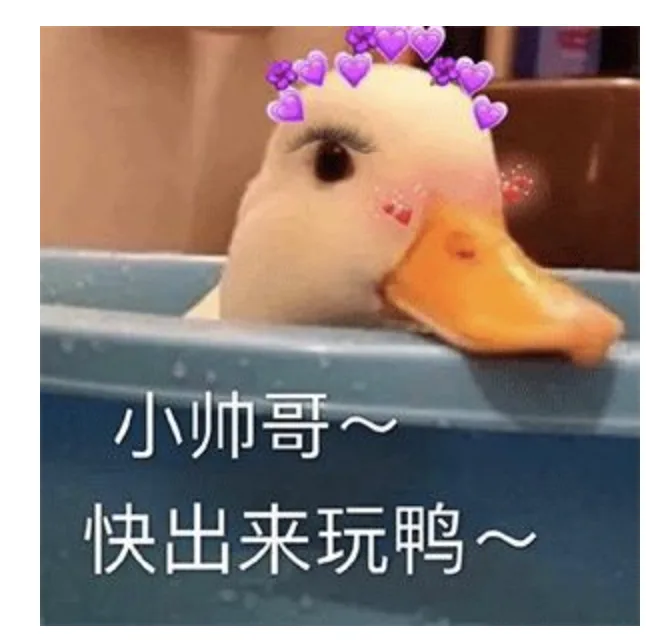 字母圈【BDSM大型沟通攻略】“不聊透这些,今晚别上床” 字母圈【BDSM大型沟通攻略】“不聊透这些,今晚别上床”