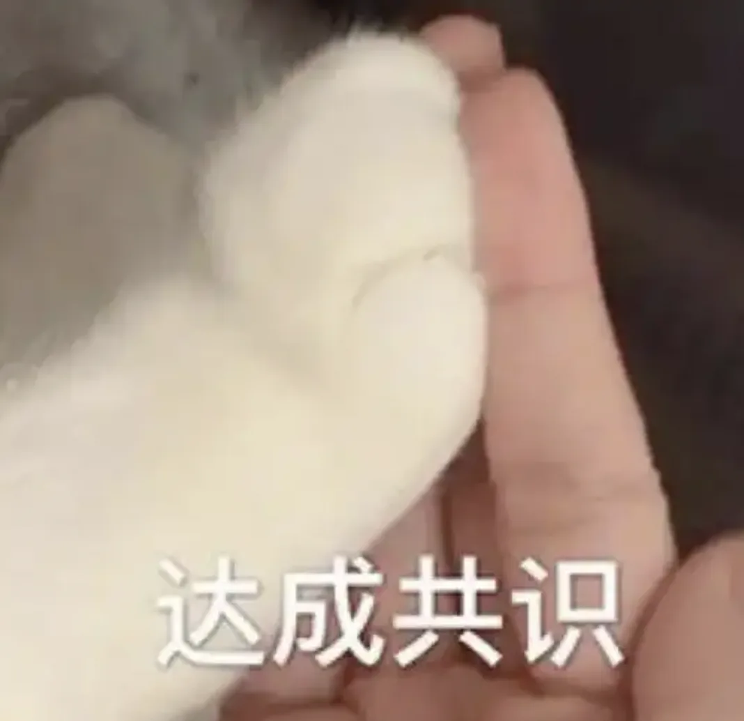 字母圈【BDSM大型沟通攻略】“不聊透这些,今晚别上床” 字母圈【BDSM大型沟通攻略】“不聊透这些,今晚别上床”