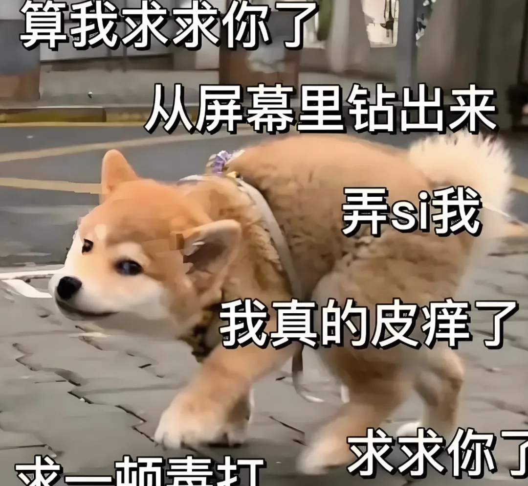 字母圈【BDSM大型沟通攻略】“不聊透这些,今晚别上床” 字母圈【BDSM大型沟通攻略】“不聊透这些,今晚别上床”