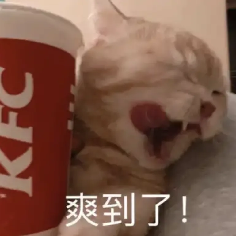 字母圈“•̥́ ˍ •̀)都怪这本bdsm小说,让我在地铁上哭的像个变态 ” 字母圈“•̥́ ˍ •̀)都怪这本bdsm小说,让我在地铁上哭的像个变态 ”