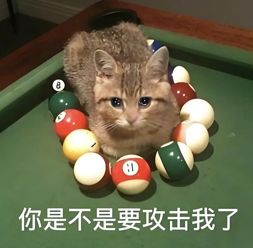 字母圈【BDSM大型沟通攻略】“不聊透这些,今晚别上床” 字母圈【BDSM大型沟通攻略】“不聊透这些,今晚别上床”