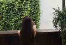 字母圈打屁股spanking指南-瘾欢