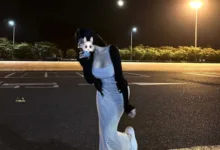 D/s 关系在平凡日常中发生-瘾欢