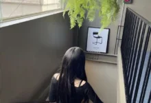 字母圈食言是 “快餐式dom”的 “遗产”-瘾欢