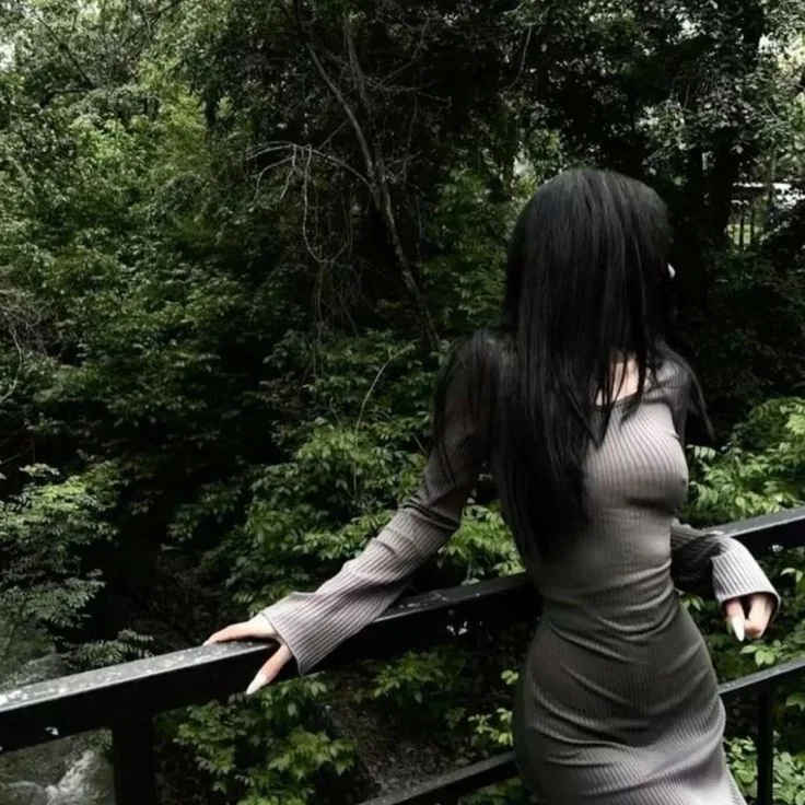 字母圈Sub清醒指南 字母圈Sub清醒指南