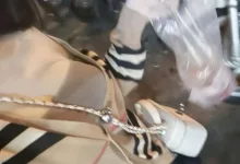 香港字母圈渴望纠正需以渴望被纠正为支撑-瘾欢